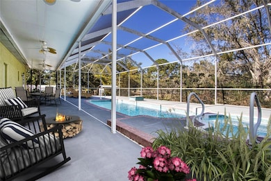 403 Indian Meadow Ct, Wimauma, FL 33598 - photo 3