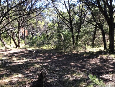 26330 Quail Grove Ln, Fair Oaks, TX 78006 - photo 2