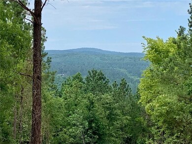 529 Timber Creek Trails South Phase 9, Broken Bow, OK 75068 - photo 3