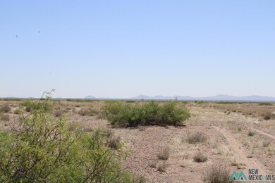 0 Harrison Rd SE unit 20232297, Deming, NM 88030 - photo 4