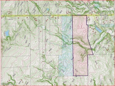 Parcel C Nash Rd, Middlefield, OH 44062 - photo 3