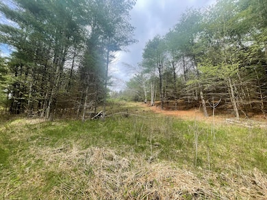 1911 Haselton Rd, Wilmington, NY 12997 - photo 4