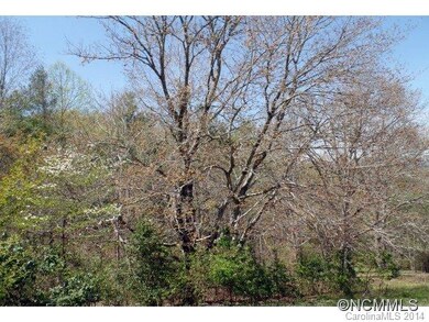 Lot Foliage