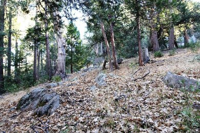 Variety of trees