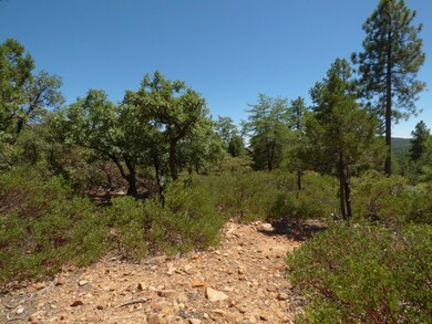 P1130577