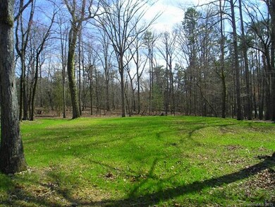 Looking South along the top contour of the lot at 