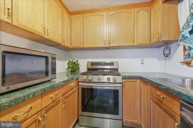 3216 Albemarle Ave unit 1, Drexel Hill, PA 19026 - photo 5