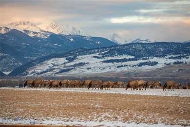 You'll see lots of wildlife here...elk frequent th