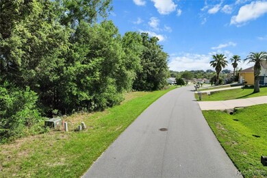 905 W Colbert Ct, Beverly Hills, FL 34465 - photo 5