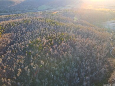 0 Punkin Flat Rd unit 25022106, Marshall, AR 72650 - photo 2