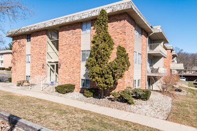 RN5_0486 (1)