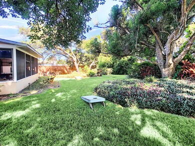 Backyard1