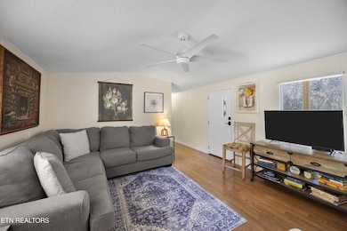 382 2nd St, Corryton, TN 37721 - photo 6