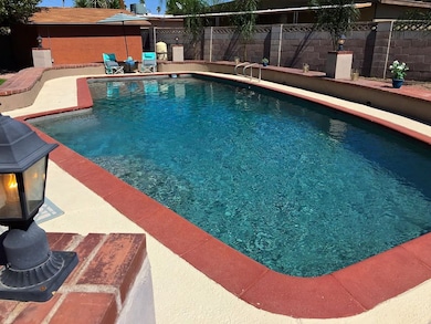 Extensive Backyard Details