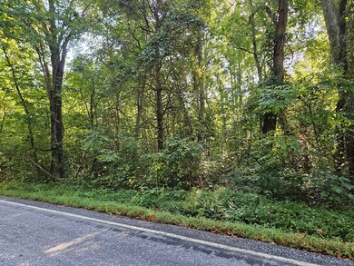 0 Abilene Rd unit 1 57687, Keysville, VA 23947 - photo 4