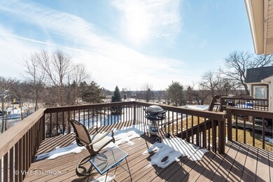 429 Dunridge Ct unit 12A, East Dundee, IL 60118 - photo 4