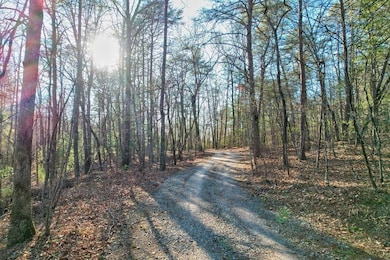 19.44 Mt McGurder Rd, Ellijay, GA 30536 - photo 7