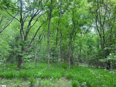 00 Wingo Rd, Wellford, SC 29385 - photo 5