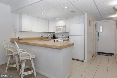 7209 Atlantic Ave unit 1c, Ocean City, MD 21842 - photo 6