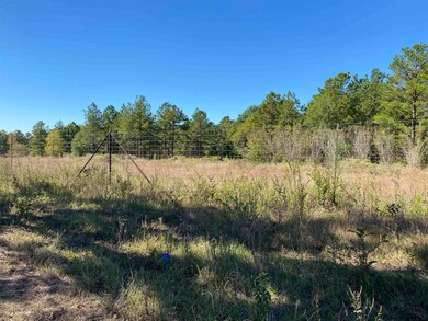 10946 10946 Cr 233, Arp, TX 75750 - photo 2