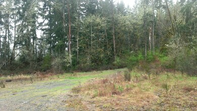 0 State Route 505 unit 753355, Toledo, WA 98591 - photo 2