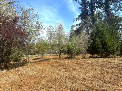 92036 Marcola Rd, Springfield, OR 97478 - photo 2