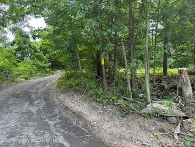 Rt 307 Trout Ln, Overfield Township, PA 18419 - photo 5