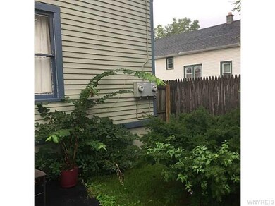 Yard/Garden.