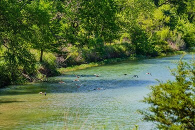 401 Clear Creek Ln, Fredericksburg, TX 78624 - photo 3