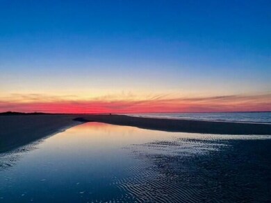 Salt Marsh