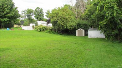 Huge Back Yard and 2 Sheds