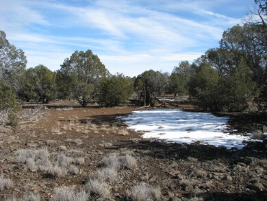 0 Lucky Ln unit 991210, Ash Fork, AZ 86320 - photo 6