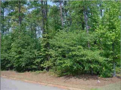 212 Port Side Way, Inman, SC 29349 - photo 3