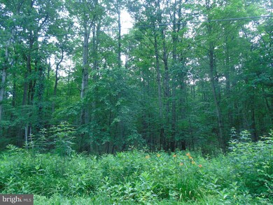 Lot 2 Means Hollow Rd, Shippensburg, PA 17257 - photo 3