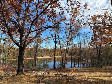 7284 Bamma Ln, Hawks, MI 49743 - photo 6