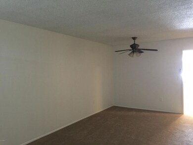 10911 W Santa fe Dr, Sun City, AZ 85351 - photo 3