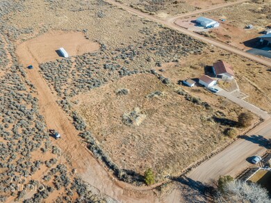 1092 W Smithsonian Way - JLee - Aerials-