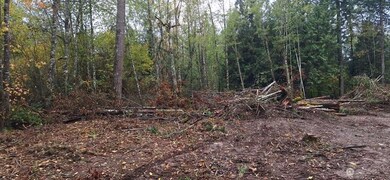 210 Vermillion Rd, Chehalis, WA 98532 - photo 5