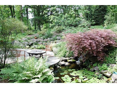 Yard/Garden.