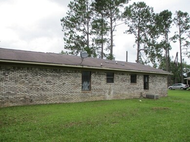 303 Dogwood Ave, Donalsonville, GA 39845 - photo 3