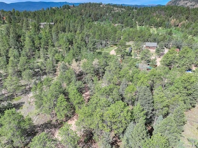 20461 S Wandcrest Dr, Pine, CO 80470 - photo 5