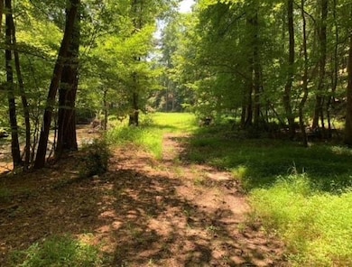 11041 Parsons Rd, Johns Creek, GA 30097 - photo 5