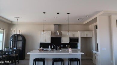 23131 W Skinner Rd, Wittmann, AZ 85361 - photo 4