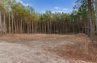 594 Timbuktu Trail, Broken Bow, OK 74728 - photo 5