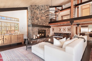 6770 Castle Creek Rd, Aspen, CO 81611 - photo 5