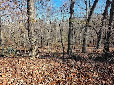 L11,B5 Wasatch Trail, Cherokee Village, AR 72529 - photo 3