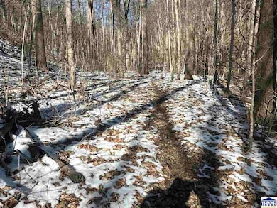 0 W Towpath Rd unit 106189, Delphi, IN 47926 - photo 5