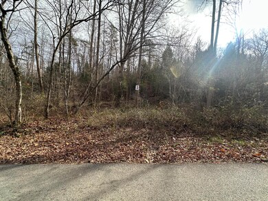 Lot 3 Radford Rd, East Bernstadt, KY 40729 - photo 7