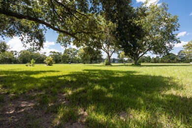 0 County Road 367, Alvin, TX 77511 - photo 5