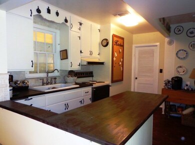 106 W Peach St, Fredericksburg, TX 78624 - photo 4